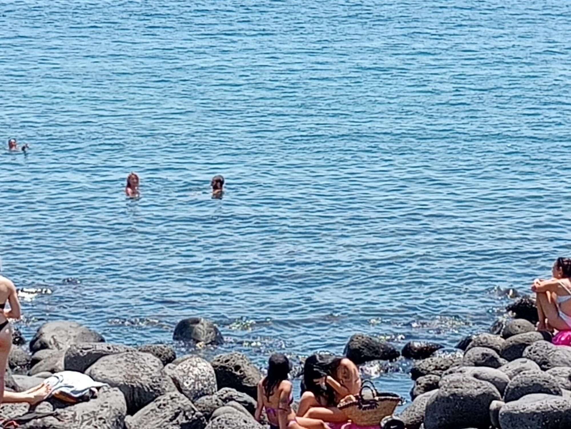 Mamis Villa Catania-Fontanarossai nemzetközi repülőtér Kültér fotó